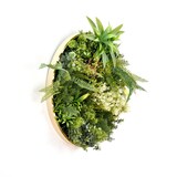 thumbnail of Cuadro con planta artificial Nala para interior