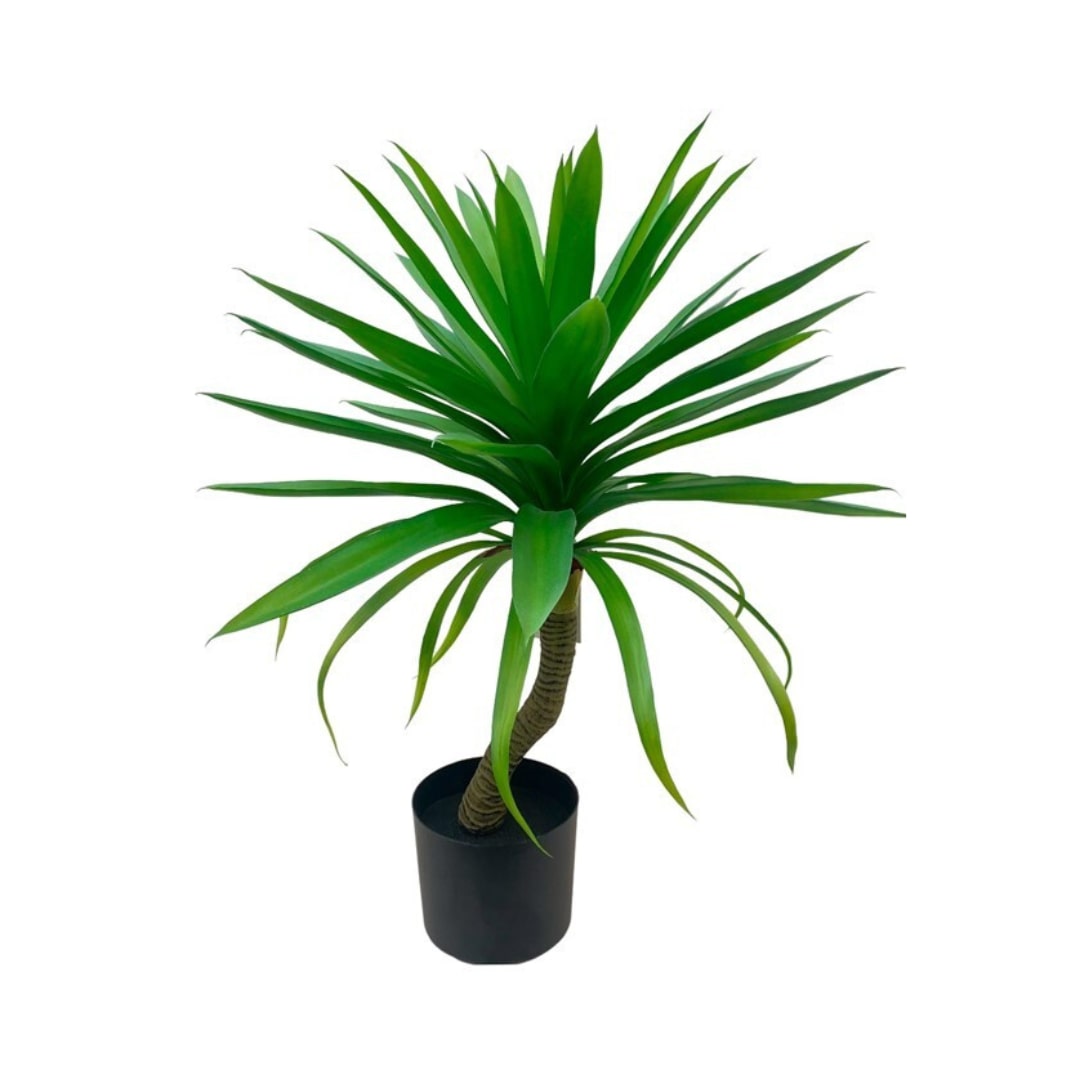 Planta Yucca -70cm