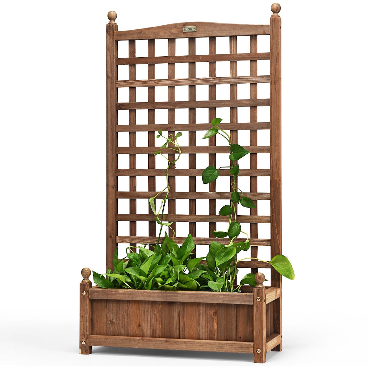 Helloshop26 - Pflanzkübel mit Rankgitter 63,5 x 28 x 122 cm große Pflanzfläche für den Außenbereich dunkelbraunes Holz 20_0012197