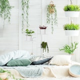 thumbnail of Relaxdays Pflanzenständer, 4 Ablagen, Pflanzentreppe Blumen & Kräuter, Metall Blumenregal, HBT: 72,5x44x22,5 cm, weiß