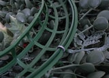 Grüner Kranz mit künstlichen Blättern und Beeren.