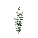thumbnail of Künstlicher Eukalyptuszweig 78cm Kunstzweig Eukalyptus Zweig Kunstblumen Dekozweige Hochzeitsdeko Frühlingsdeko Osterdeko Grün