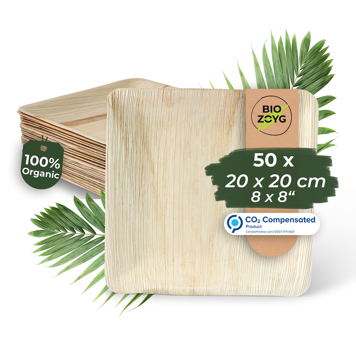 BIOZOYG 50 Stück Einwegteller 20x20cm Palmblatt-Teller, quadratisch, biologisch abbaubar, umweltfreundlich, kompostierbar, Wegwerfteller