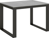 thumbnail of Ausziehbarer Tisch 90x120/224 cm Tecno Evolution Cement Anthrazit Gestell