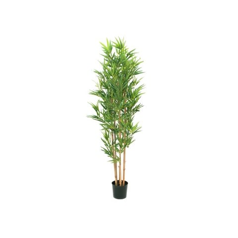 mobile_image