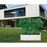 thumbnail of Macetero de cemento, pintado de blanco - 110x25x28cm