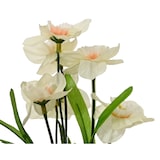 thumbnail of 1 Künstliche Blumen im Topf 18cm Seidenblumen Narzissen Topfpflanzen Kunstblumen Tischdeko Kunstpflanzen Hochzeitsdeko Künstlich Gelb Creme Weiß