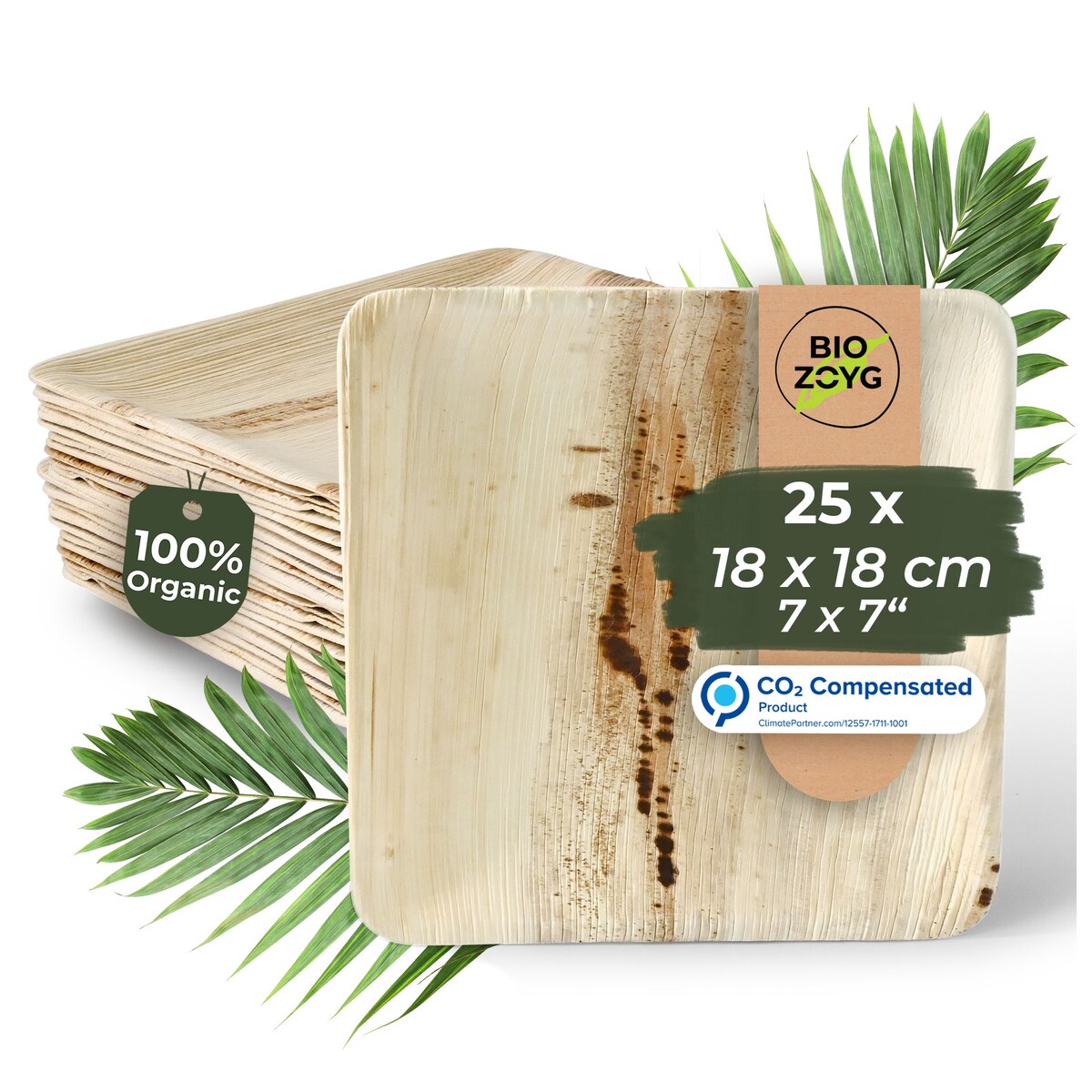 BIOZOYG 25 Stück Einwegteller 18x18cm Palmblatt-Teller, quadratisch, biologisch abbaubar, umweltfreundlich, kompostierbar, Wegwerfteller