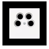 thumbnail of Busch-Jaeger Zentralscheibe 1743/10-04-44M 2CKA001724A4441