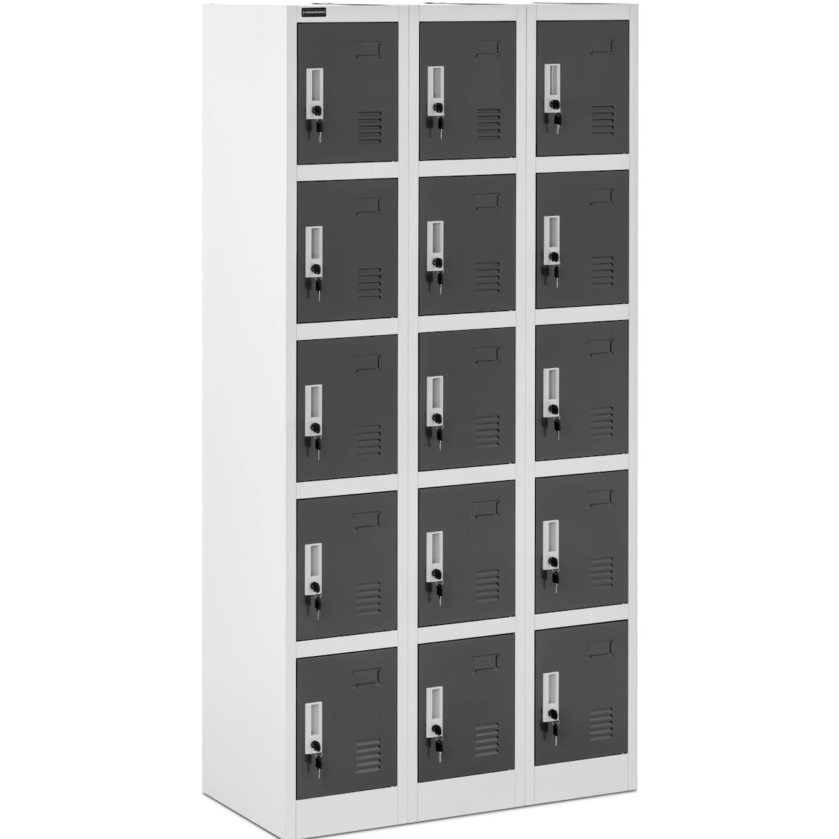 Fromm & Starck - Fromm & Starck Armoire Vestiaire Métallique Casier À Casiers Métal Star_MCAB_17 (15 Casiers, Capacité 200 kg, Verrouillable, Tôle