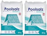thumbnail of Salinen Poolsalz 2x25 kg