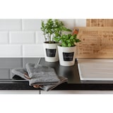 thumbnail of WENKO Topfhandschuhe Mod. Ada Stripes Grau