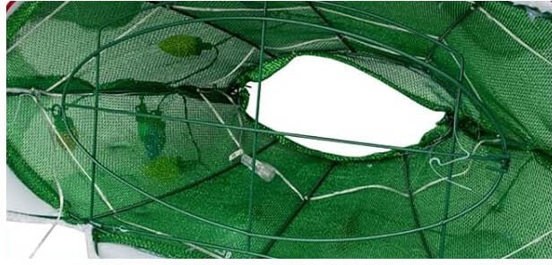 mobile_image