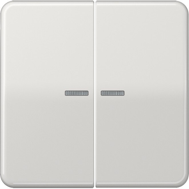 Jung Wippe Lichtleiter lgr CD 595 KO5 LG CD595KO5LG