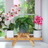 thumbnail of Relaxdays Blumentreppe, mit 3 Ablagen, für die Fensterbank, aus Bambus, Pflanzenregal, HBT: 17 x 51,5 x 15 cm, natur