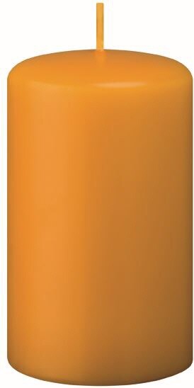 Flachkopf-Stumpenkerzen Honig 80 x Ø 100 mm, 4 Stück