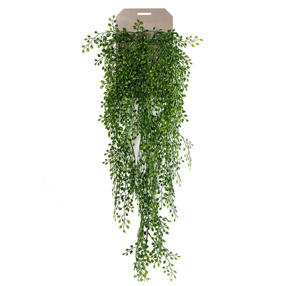 Planta Colgante arbusto Jazmin de 80 cm (6 unidades)