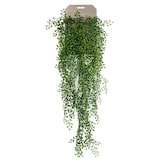 thumbnail of Planta Colgante arbusto Jazmin de 80 cm (6 unidades)