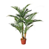 thumbnail of Palmera 120 Cm