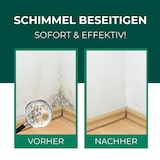 thumbnail of Schimmelentferner mit E-Book - Gegen Schimmel & Stockflecken: 6 x 500 ml
