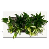 thumbnail of Flowerwall M - weiß hochglanz - 55x33 cm