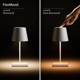 thumbnail of Nuindie mini LED Akku Tischleuchte feuerrot IP54