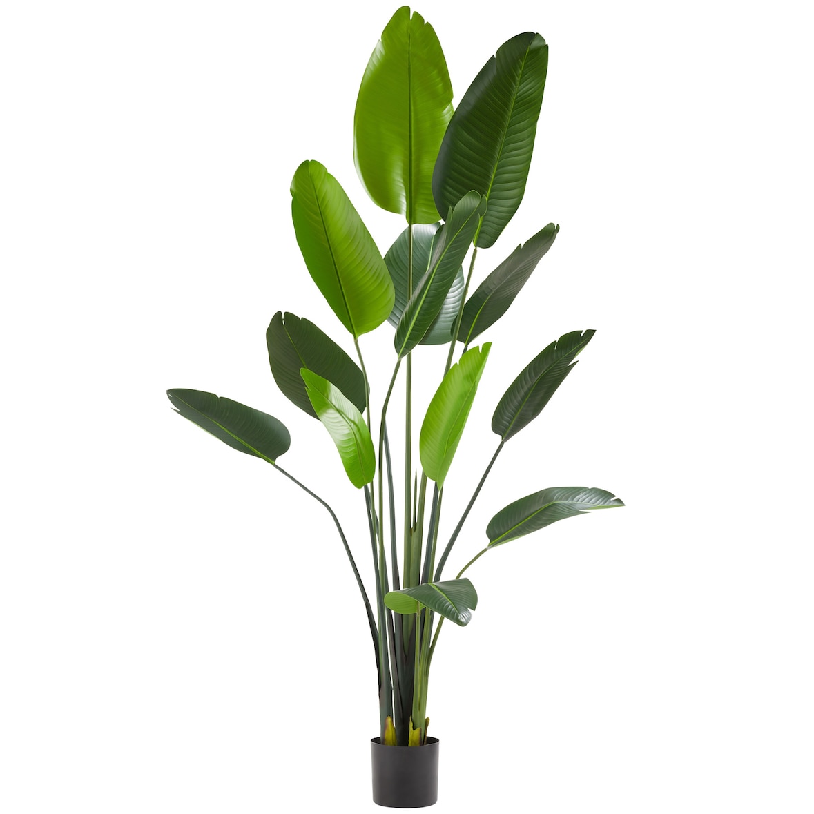 tectake Árbol de ave del paraíso artificial TROPIC, aspecto realista  Verde