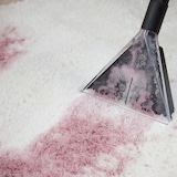 thumbnail of Albatros Waschsauger HYDRO 7500 + 2 Liter Shampoo