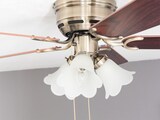 thumbnail of Deckenventilator Kisa Deluxe MA Rosenholz / Walnuss mit Licht 105