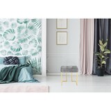 thumbnail of Hocker Zinnia 100 Grau