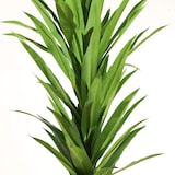 thumbnail of Planta artificial Yuca 160cm | Naturing Monde - Interior