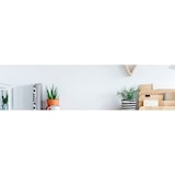 thumbnail of AOC B2 27B2AM LED display 68,6 cm (27") 1920 x 1080 Pixel Full HD Schwarz