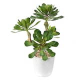 thumbnail of VERT ESPACE plante artificielle succulente en pot 30 cm