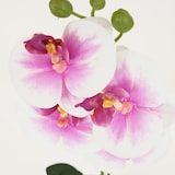 thumbnail of LIGNE DÉCO Orchidée artificielle blanc-fuchsia 35cm