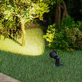 thumbnail of Forlight TIDIAN Foco Proyector Exterior para Jardín con IP65. Proyector con Pincho para Césped. Para Bombilla GU10. Color Negro
