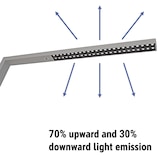 thumbnail of LED-Standleuchte Maulsirius  Beweg.- Lichtsensor col. var. silber