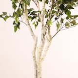 thumbnail of Planta artificial ignífuga Abedul blanco 210cm | Naturing Monde -Para interior - Tronco natural