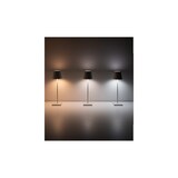 thumbnail of Lámpara de mesa LED Poldina Pro con craquelado de hoja de oro negro, recargable y regulable, con batería de hasta 12 horas