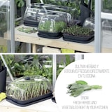 thumbnail of Prosperplast - Horta sementeira Respana 3,6L - 39,1x25,7x18,5cm, cor antracite