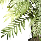 thumbnail of CREATIV green Künstliche Pflanze Farnpflanze 60cm im Topf