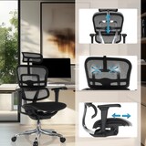 thumbnail of Bürostuhl / Chefsessel ERGOHUMAN ULTRA F GEN2 Sitz Stoff / Rücken Netz schwarz hjh OFFICE