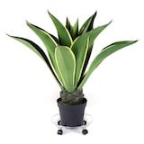 thumbnail of Soporte de Macetero con Ruedas Metálico Que Gira 360º para Macetas Decorativas De Interior y Plantas de Exterior Coshano