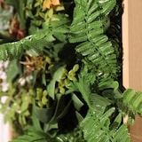 thumbnail of CUADRO VEGETAL ARTIFICIAL Naturing Monde NATACHA - 33 x 33 cm