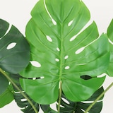 thumbnail of LIGNE DÉCO Monstera artificiel toucher naturel 120cm