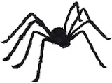 Eine schwarze, pelzige Spinne mit roten Augen.