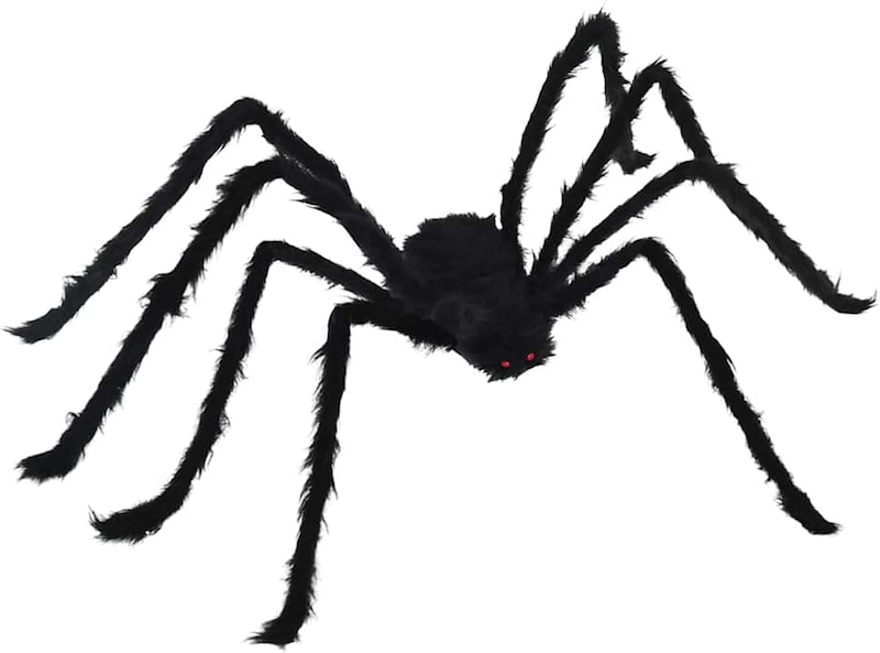 Eine schwarze, pelzige Spinne mit roten Augen.