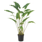 thumbnail of Alocasia Zebrina 94 cm - Grün Plastik Lou De Castellane 0.01x0.01 cm