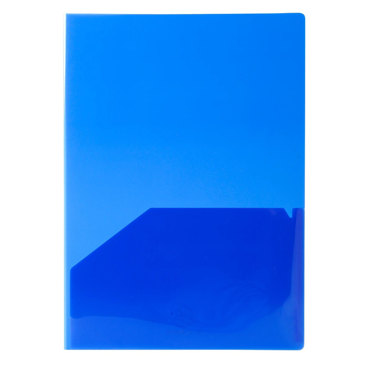 Exacompta - Réf. 3960E - Carton de 2  sachets de 10 chemises double poche polypropylène souple 2/10e - A4 ou A3 - Couleurs assorties