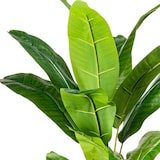 thumbnail of CREATIV green Künstliche Palme Bananenpflanze 150cm im Topf