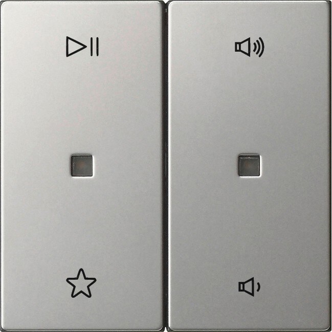 Gira Wippe 2f Audiostrg 5384600